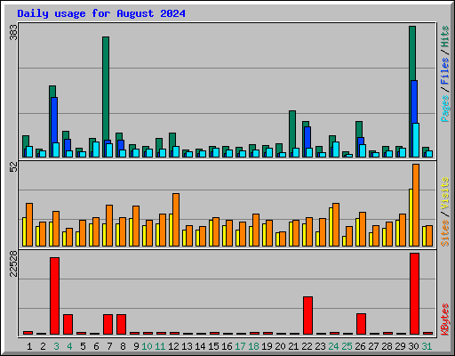Daily usage for August 2024