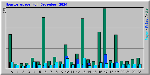 Hourly usage for December 2024