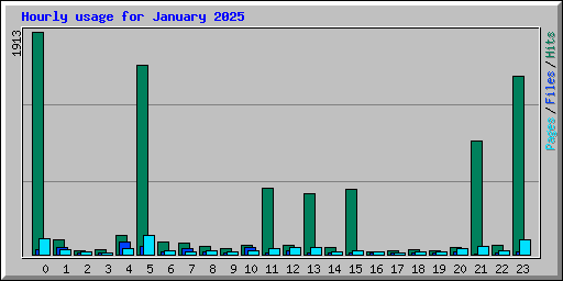 Hourly usage for January 2025